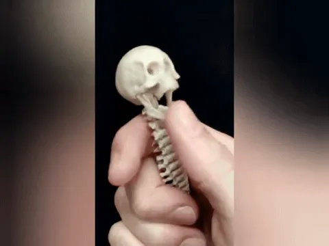 L'ANTISTRESS DEL PREDATOR (FULLY ARTICULATED) view 3