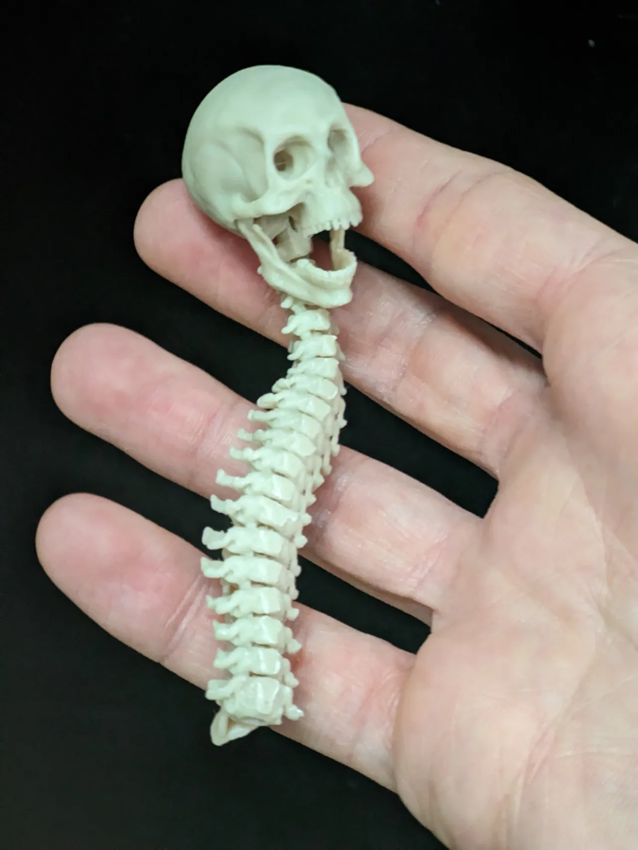 L'ANTISTRESS DEL PREDATOR (FULLY ARTICULATED) view 4