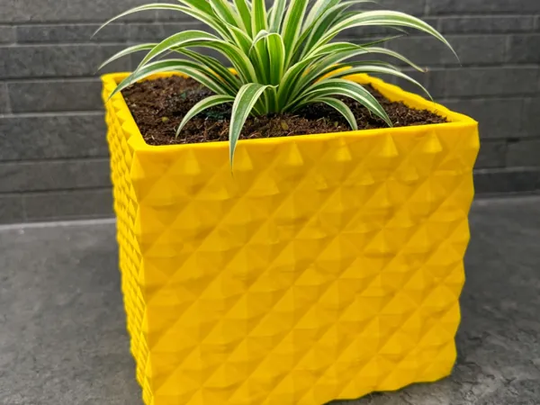https://makerworld.bblmw.com/makerworld/model/USe951aa7a23e978/design/2026-01-14_d7f719a9a307a8.jpg