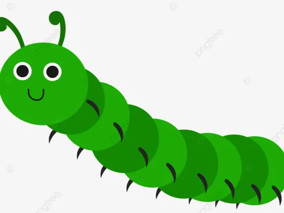 ORUGA FELIZ