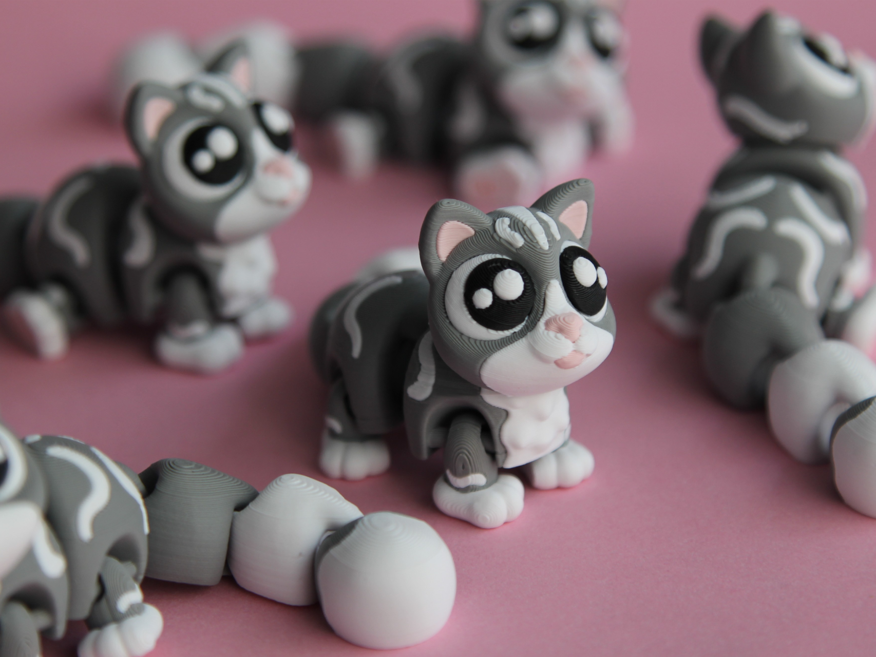 Mini Cat Flexi