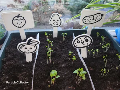 Sprout-Scouts Vol I : 5 Kawaii 2-Style Garden Pins