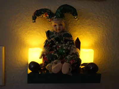 Oddity Display Shelf