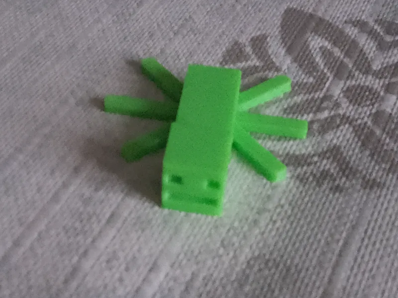 Spinne