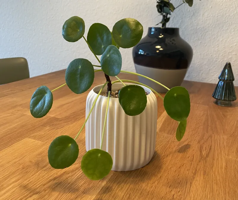 Wavy Vase