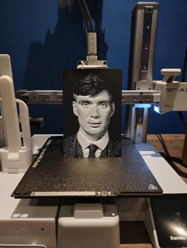 https://makerworld.bblmw.com/makerworld/model/USe96edc3e3d7dcd/design/2024-06-30_d120760c2736c.jpg