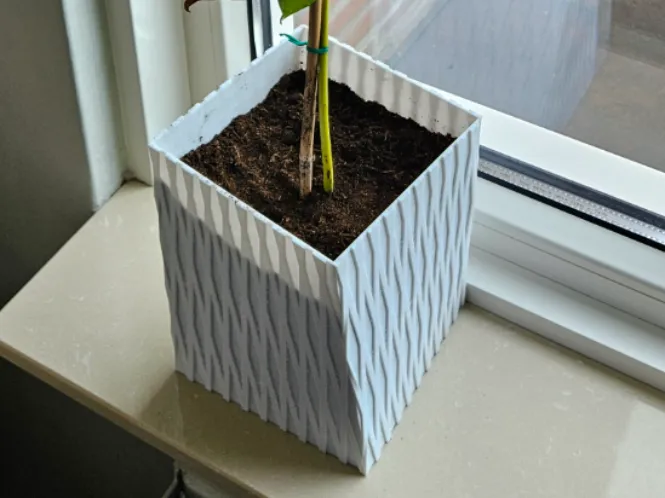 Plant Pot optical illusion