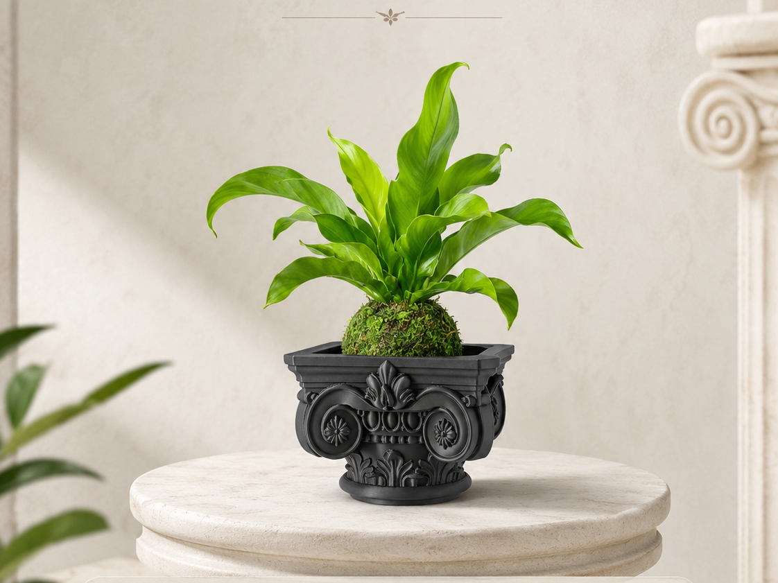 罗马柱苔藓球花盆 建筑美学 品质家居必打