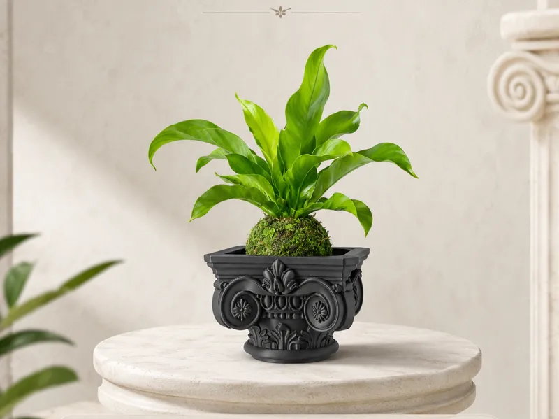 罗马柱苔藓球花盆 建筑美学 品质家居必打