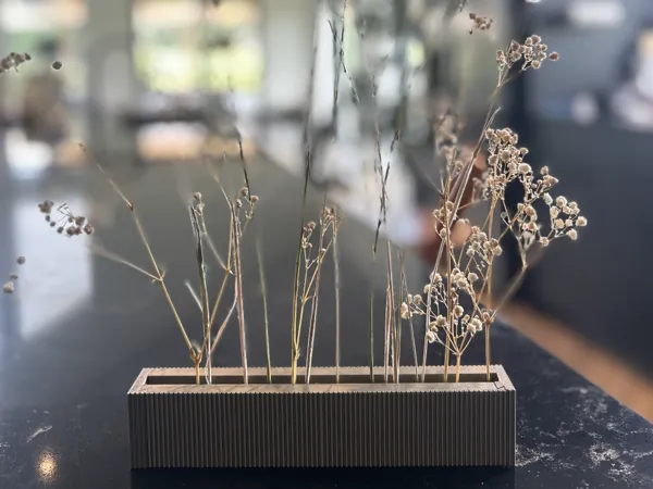https://makerworld.bblmw.com/makerworld/model/USe971bbef9b8b65/design/c26a62243c51457b.jpg