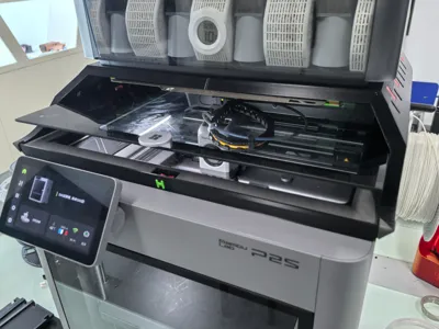 P2S AMS2Pro Riser