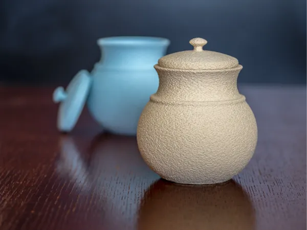 https://makerworld.bblmw.com/makerworld/model/USe972d2218a106d/design/2024-07-02_85861482ca2ba.jpg