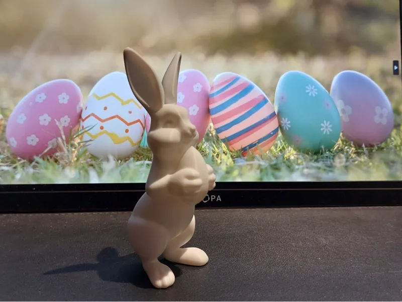 Easter Bunny