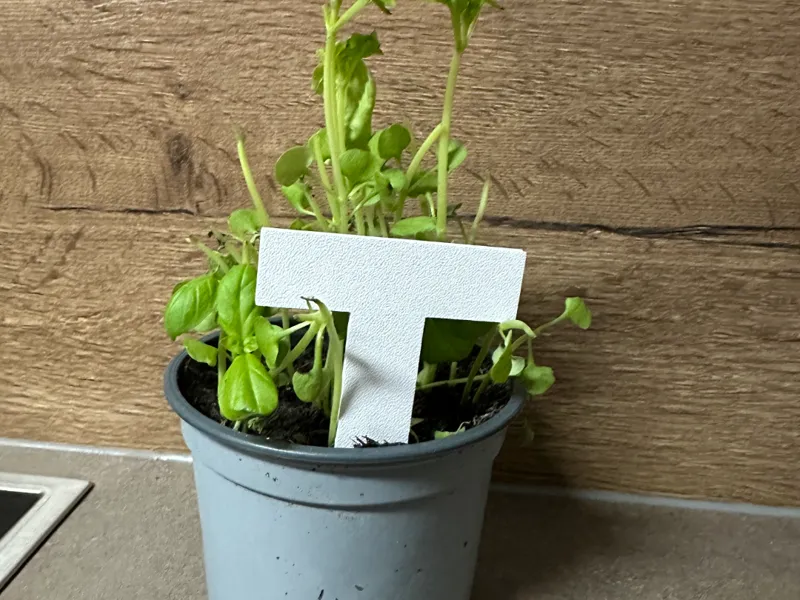 Schilder für den Garten