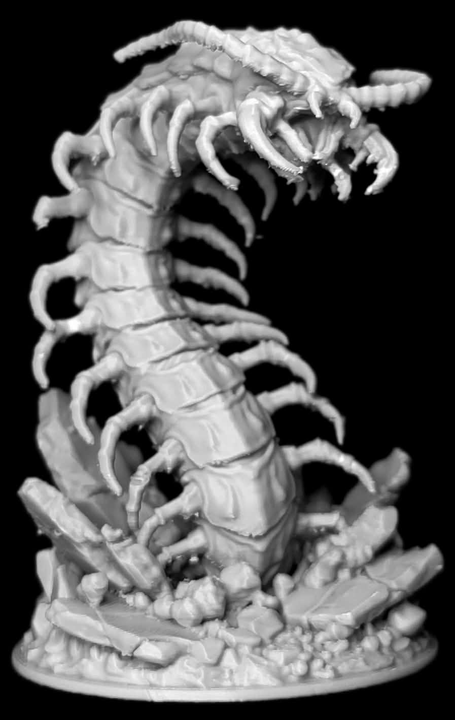Giant Centipede | Necrotic Centipede - 1