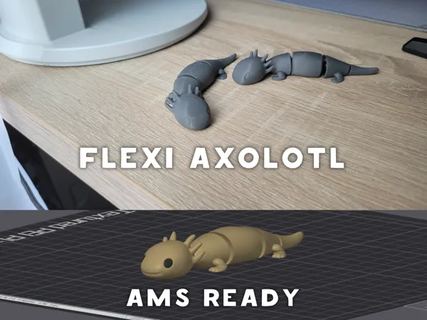 https://makerworld.bblmw.com/makerworld/model/USe97badd38b625d/design/2025-06-03_724c51625b71b8.png