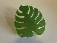 Feuille de monstera plate — photo 2