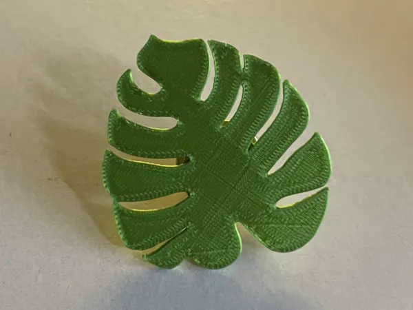 Feuille de monstera plate