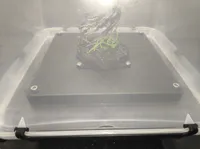 0.2mm layer, 3 walls, 15% infill