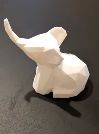 Bébé éléphant — photo 4