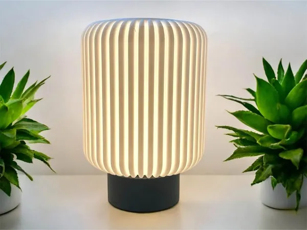 https://makerworld.bblmw.com/makerworld/model/USe98b864727c4f9/design/2025-09-28_ada93b50b56d08.jpg