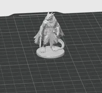 50mm, 0.08mm layer, 2 walls, 10% infill