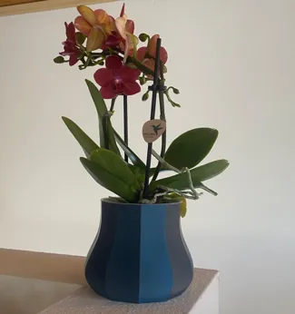 Kant Vase