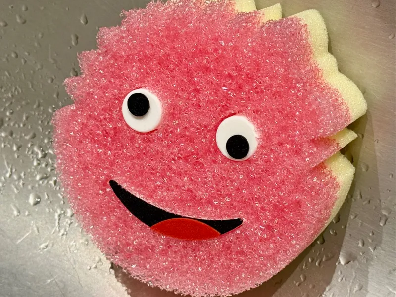 Scrub Daddy Holder