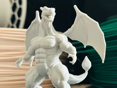 Charizard Level 100