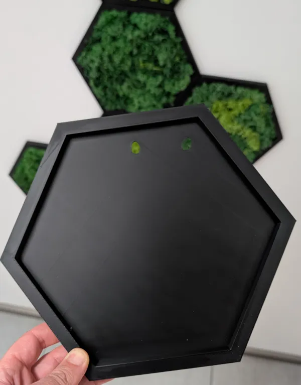 https://makerworld.bblmw.com/makerworld/model/USe99280a03b91ed/design/2024-12-22_53ab379cd35cf.jpg