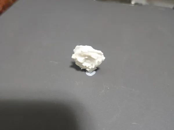 https://makerworld.bblmw.com/makerworld/model/USe995da933b2464/design/2025-01-30_3a48f256714b7.webp