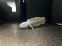 此配置使用的是pla silk耗材 0.2mm 层高, 2 层墙, 15% 填充