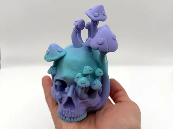 https://makerworld.bblmw.com/makerworld/model/USe99a5fe1aef295/design/2025-12-02_5c74458fc42998.jpg