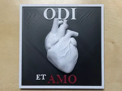 Anatomical Heart Frame Odi et Amo