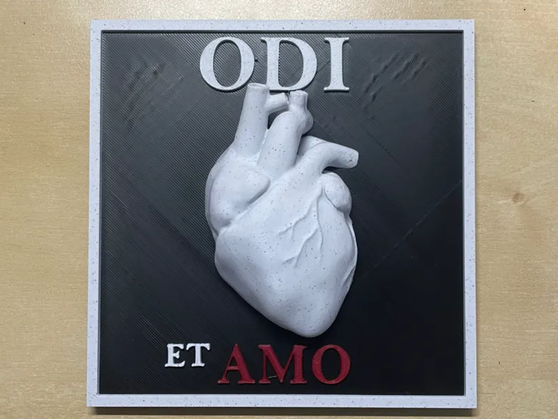 Quadro Cuore Anatomico Odi et AMo