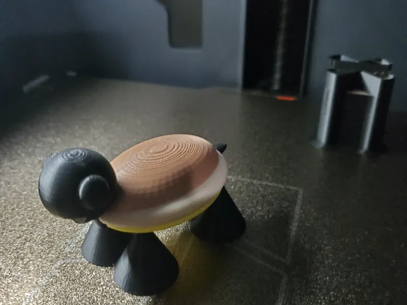 cute turtle by turtle dude