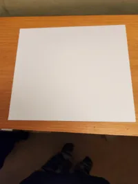 Just a plain slide to help dull the light