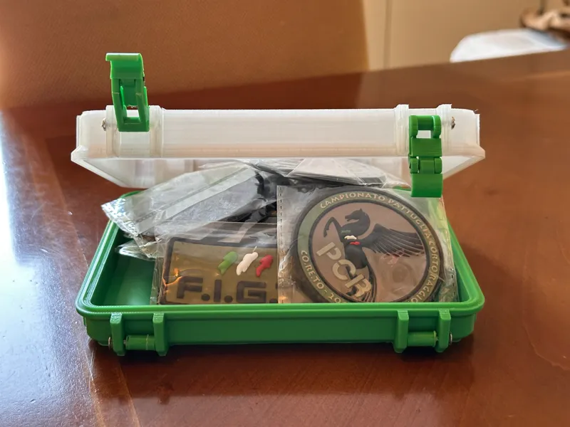 Wide Frog Box