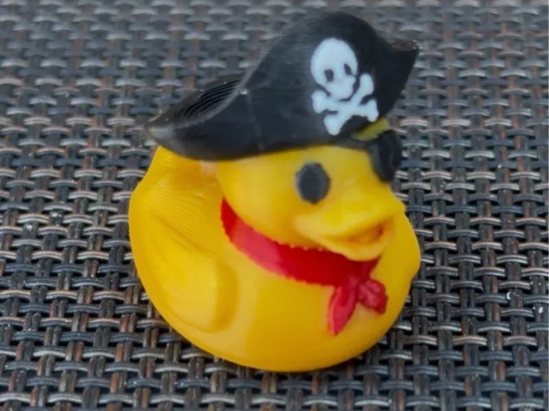 Pirate Duck