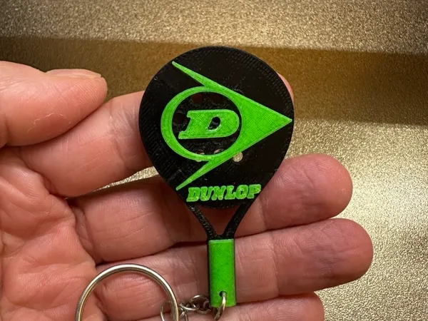 https://makerworld.bblmw.com/makerworld/model/USe9a6de98816b31/design/2025-02-20_365babf1adfcf.jpg