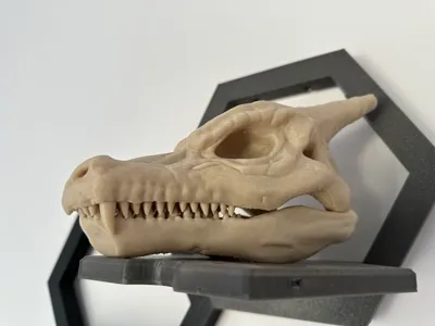 Charizard skull