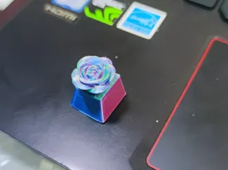 玫瑰键帽
