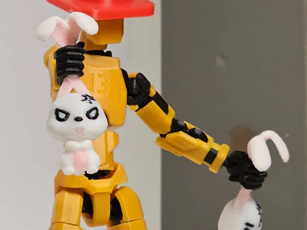 https://makerworld.bblmw.com/makerworld/model/USe9ad2936b3dcbc/design/2025-03-23_02be1101e9c608.jpg