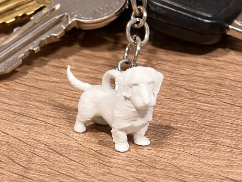 Miniature Wirehair Dachshund - Keychain - Dog