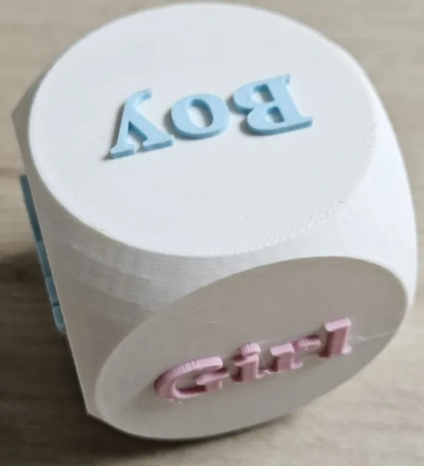 https://makerworld.bblmw.com/makerworld/model/USe9b721172fae65/design/2024-06-06_0c29e7ab2920c.jpg