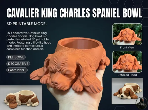 https://makerworld.bblmw.com/makerworld/model/USe9bd2af5969611/design/67197901450fda22.png
