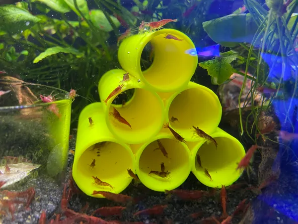https://makerworld.bblmw.com/makerworld/model/USe9bdac16fd3681/design/2023-12-14_c86a7643982f2.jpg