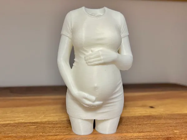 https://makerworld.bblmw.com/makerworld/model/USe9c16d1d7f3489/design/2025-12-14_f3726196363ad.jpg