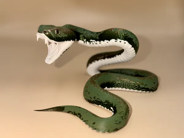 https://makerworld.bblmw.com/makerworld/model/USe9c4a20e30a06d/design/e06bd35f89348288.jpg