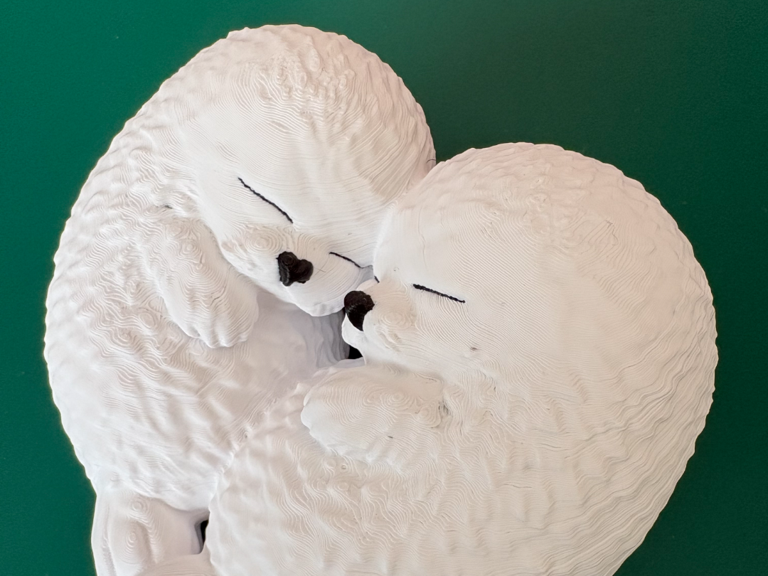 ハート形で寄り添うアザラシ(Two seals forming a heart shape)